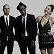 Playing popular covers to dance and sing to, this 9 piece band will shape your Singapore event with favourite disco, soul, and pop songs.